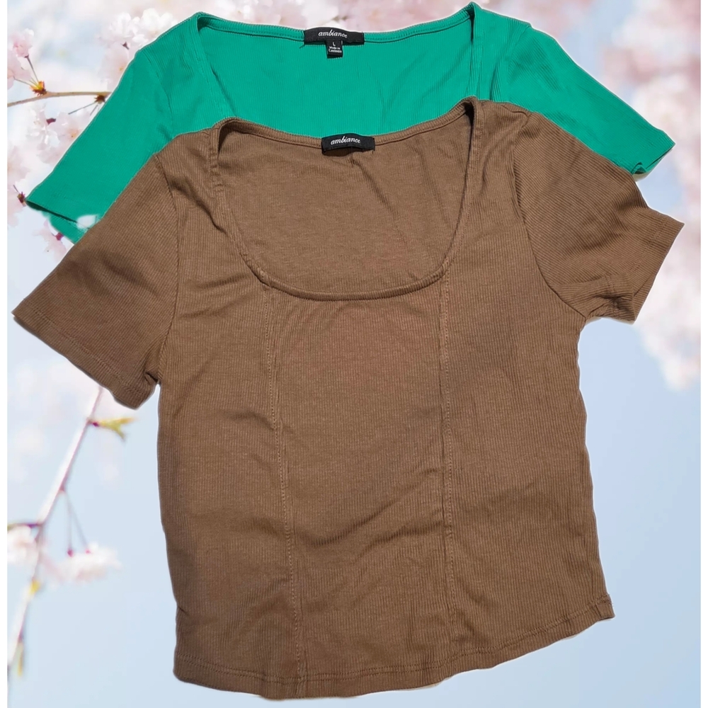 Ambiance Short Sleeve Tops in Brown and Green